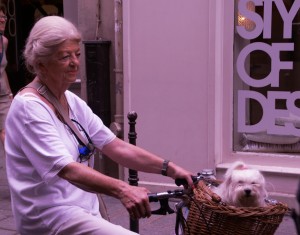 DAMEFIETSHONDJE
